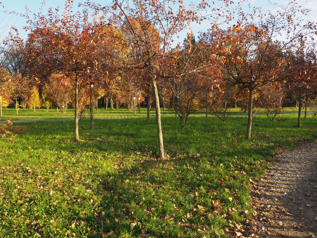 Giardino Della Vita Idroscalo Molto Più Di Un Parco