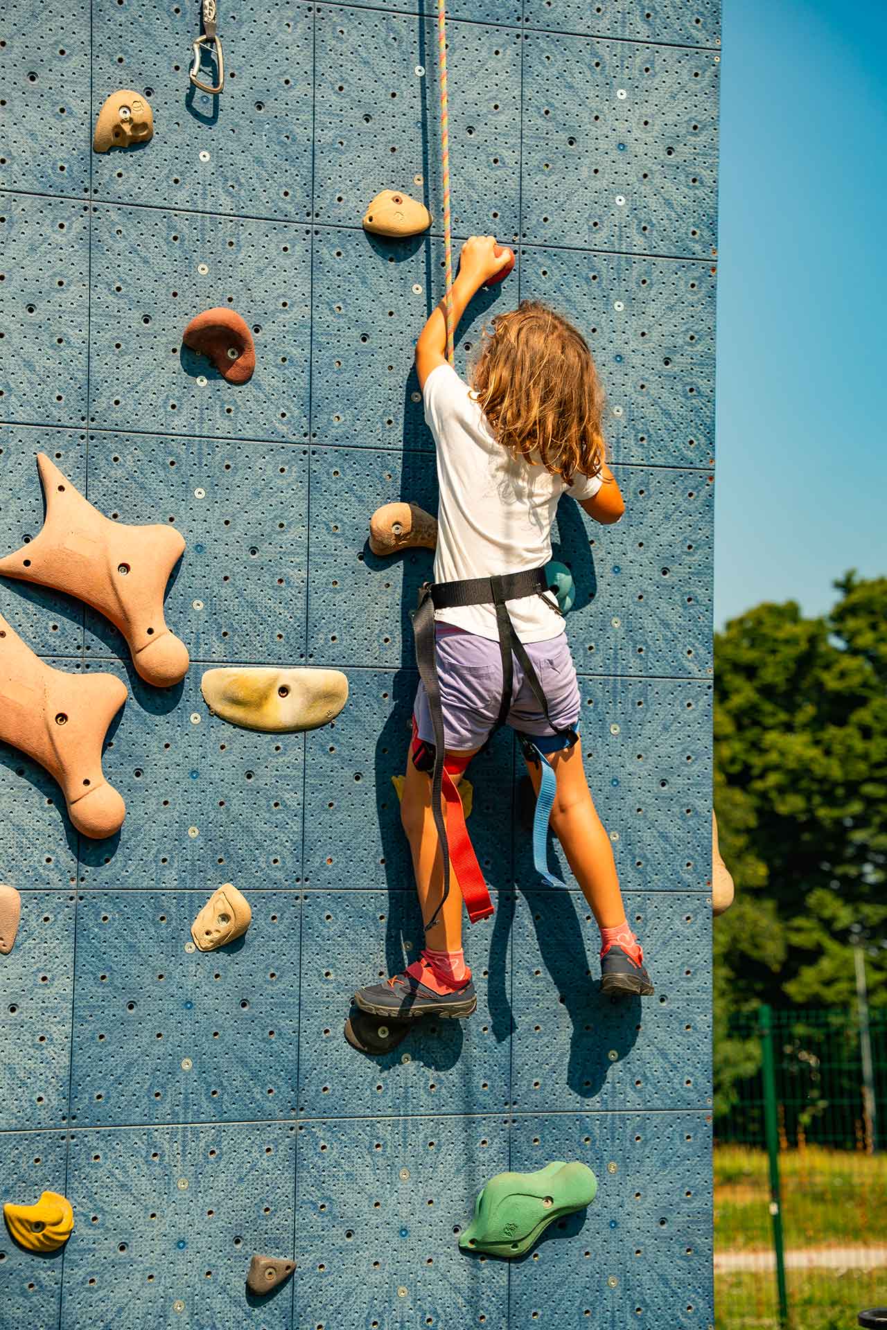 ARRAMPICATA