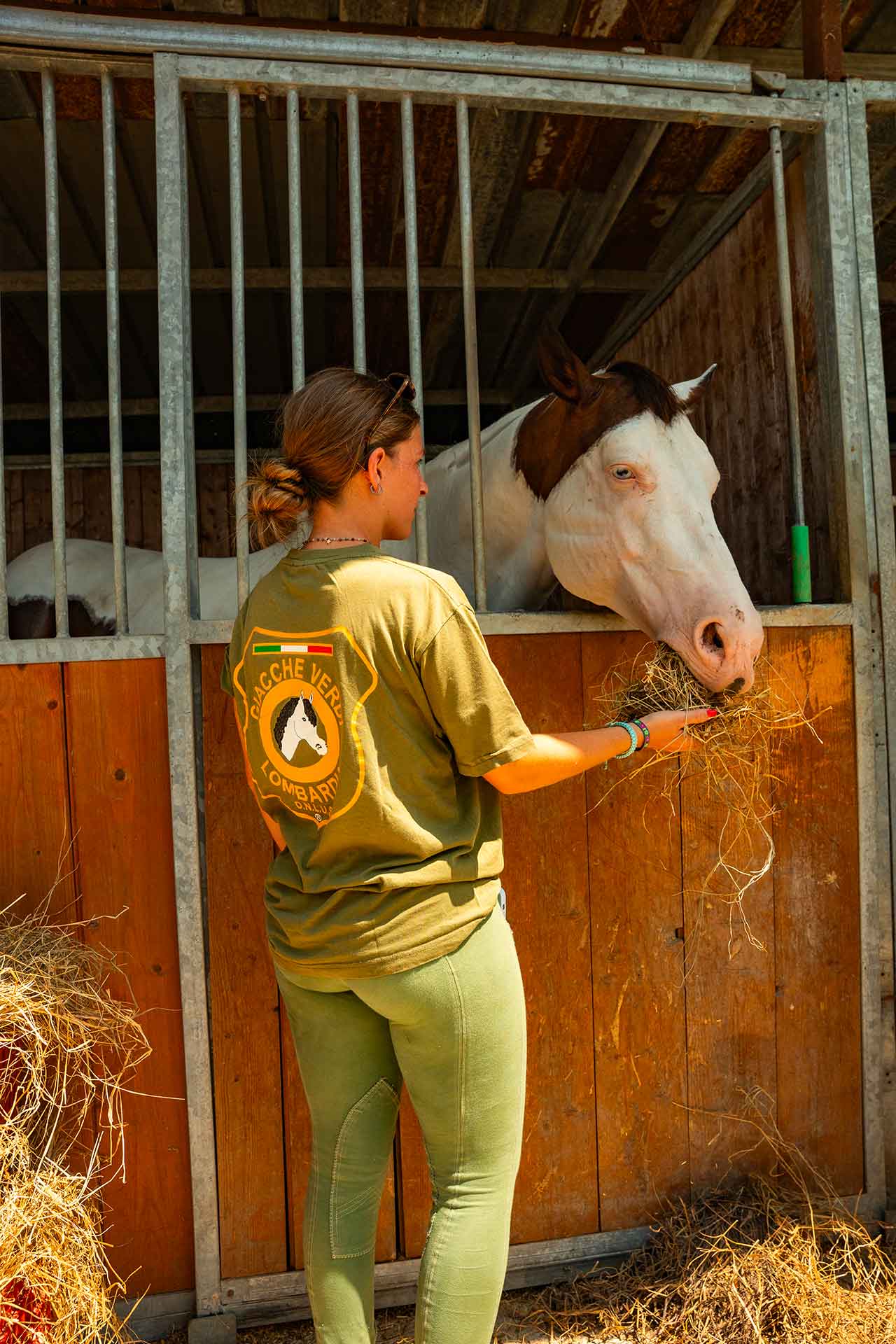 equitazione 