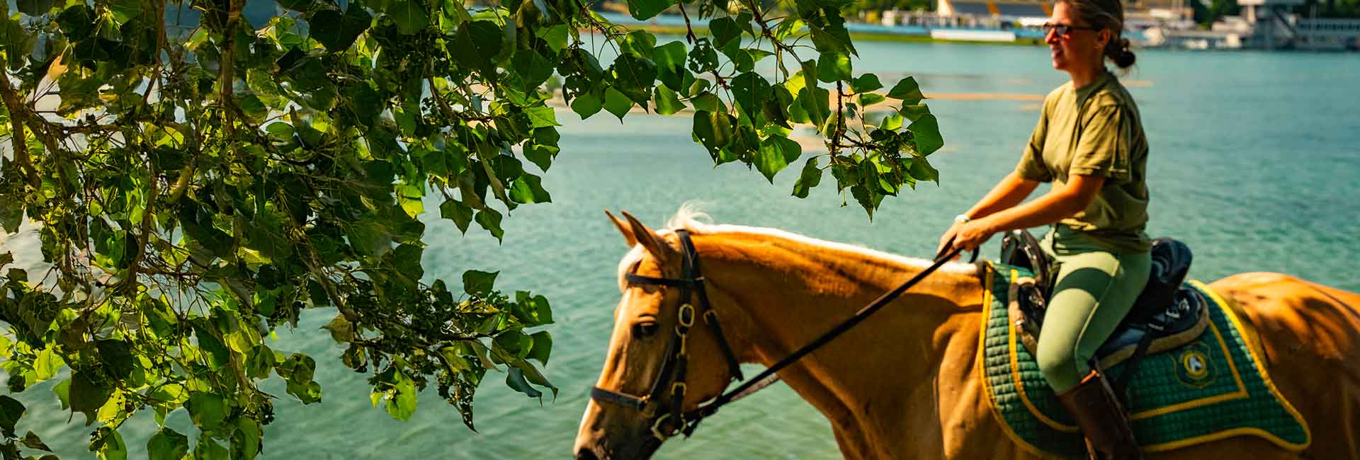 equitazione