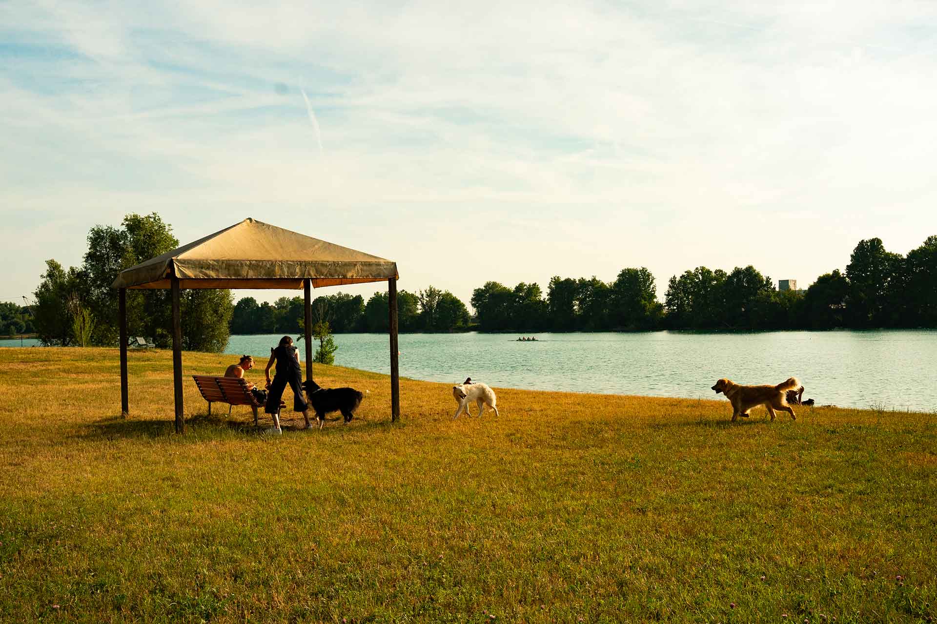 L'area cani del Parco Idroscalo
