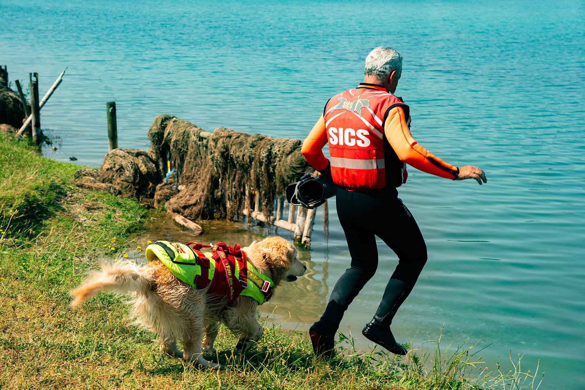 Scuola italiana cani da salvataggio