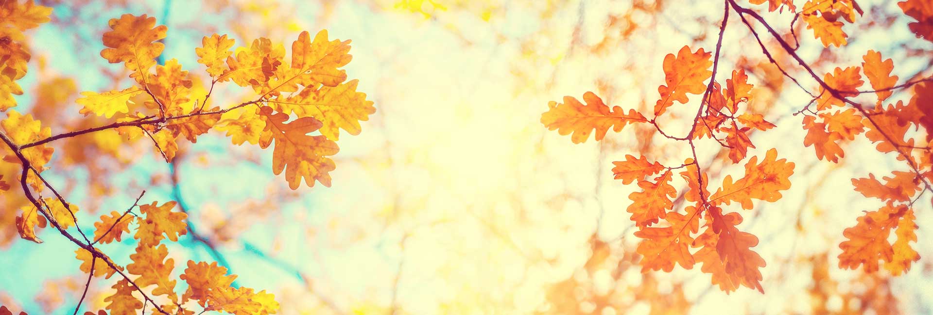 Hello Autumn!