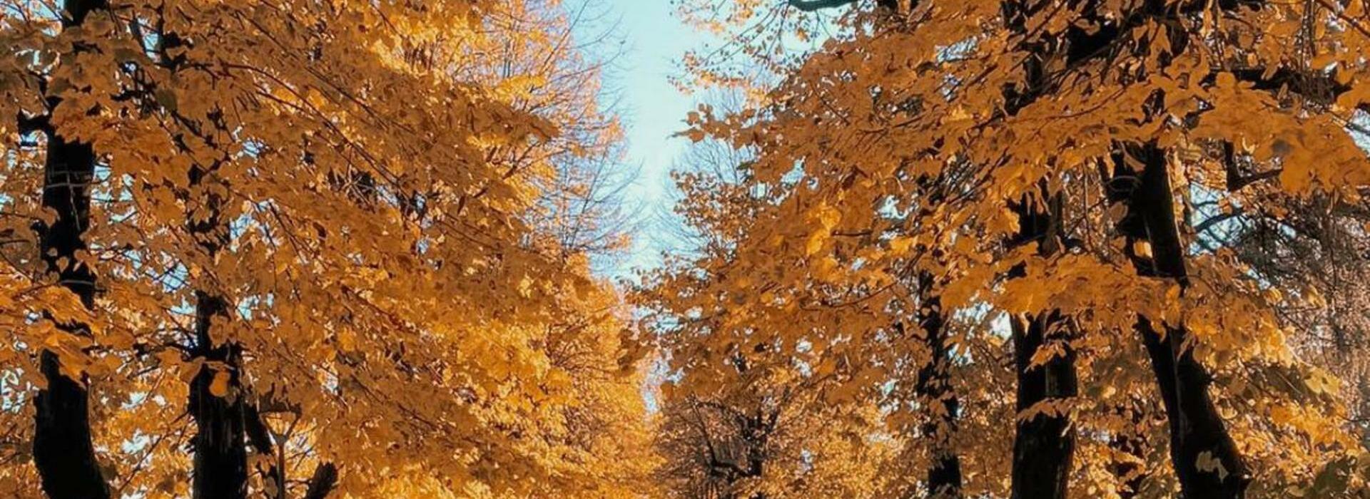 DOMENICA 10 OTTOBRE IL PARCO RESTA CHIUSO