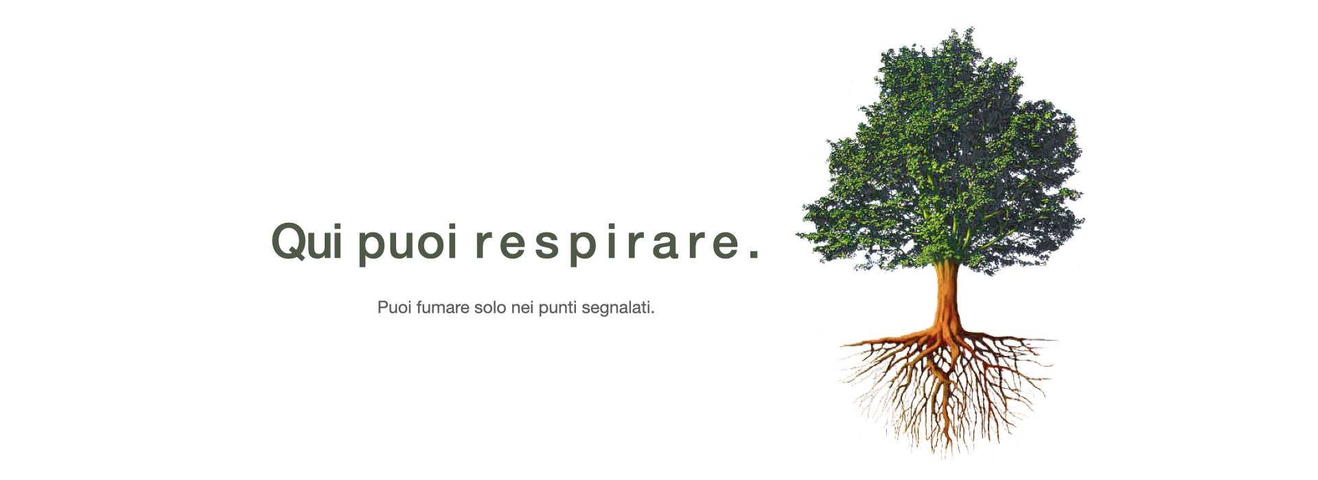 Qui puoi respirare. Puoi fumare solo nei punti segnalati.