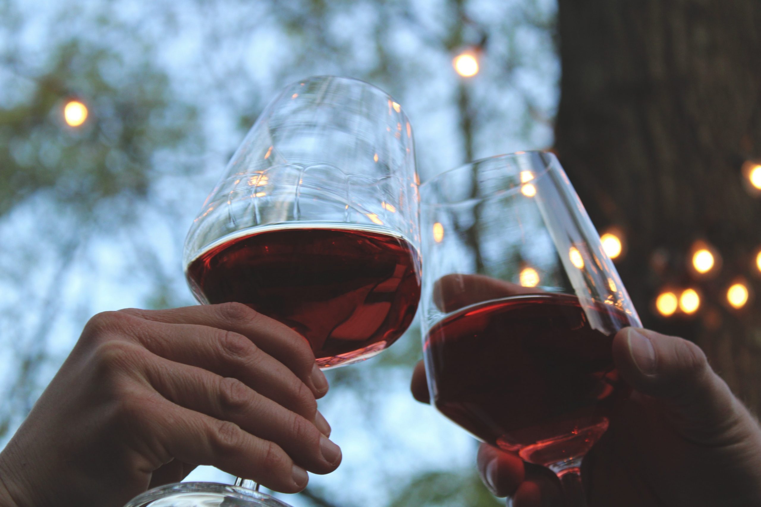 Wine Tasting Experience