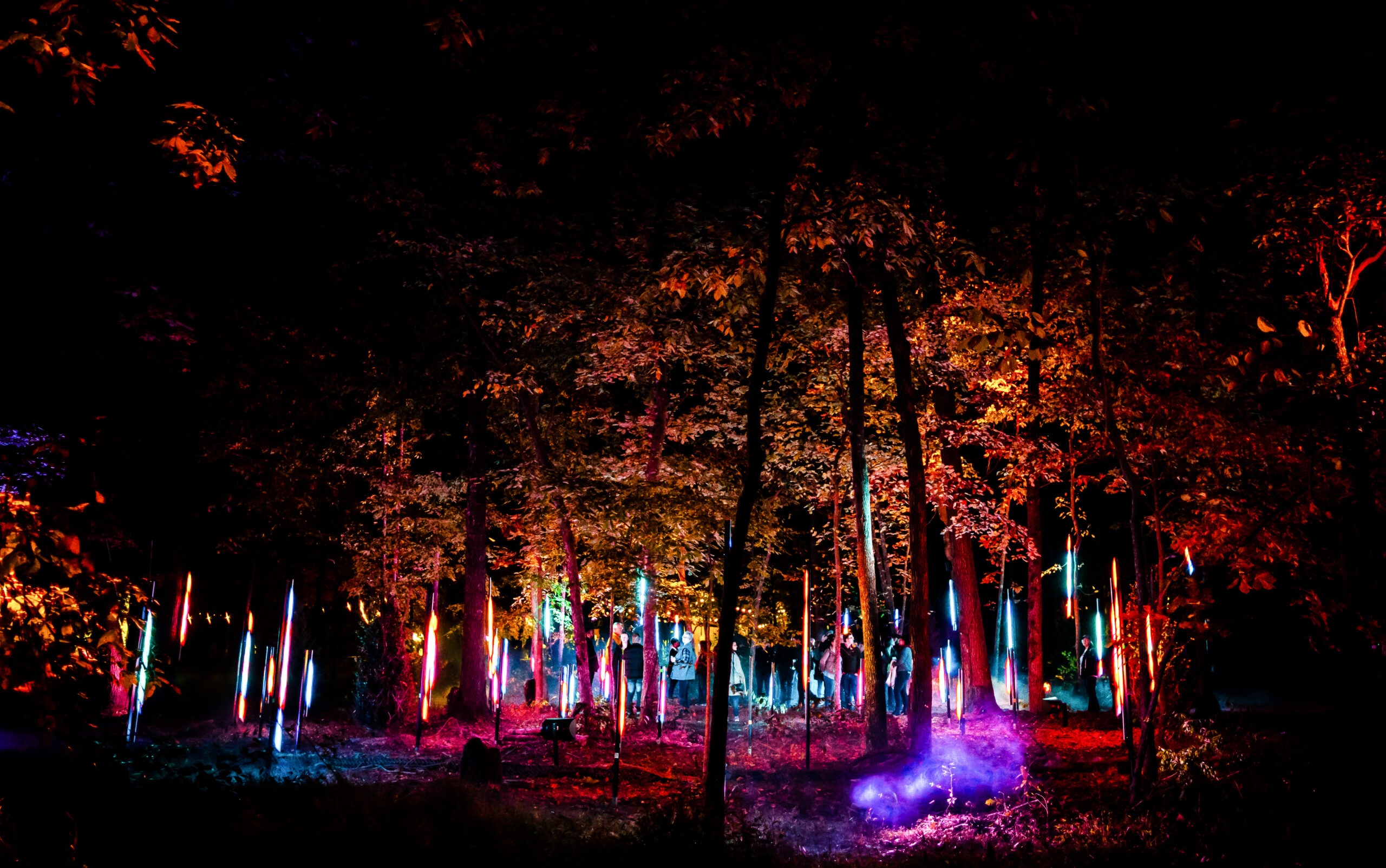 Light Cycles